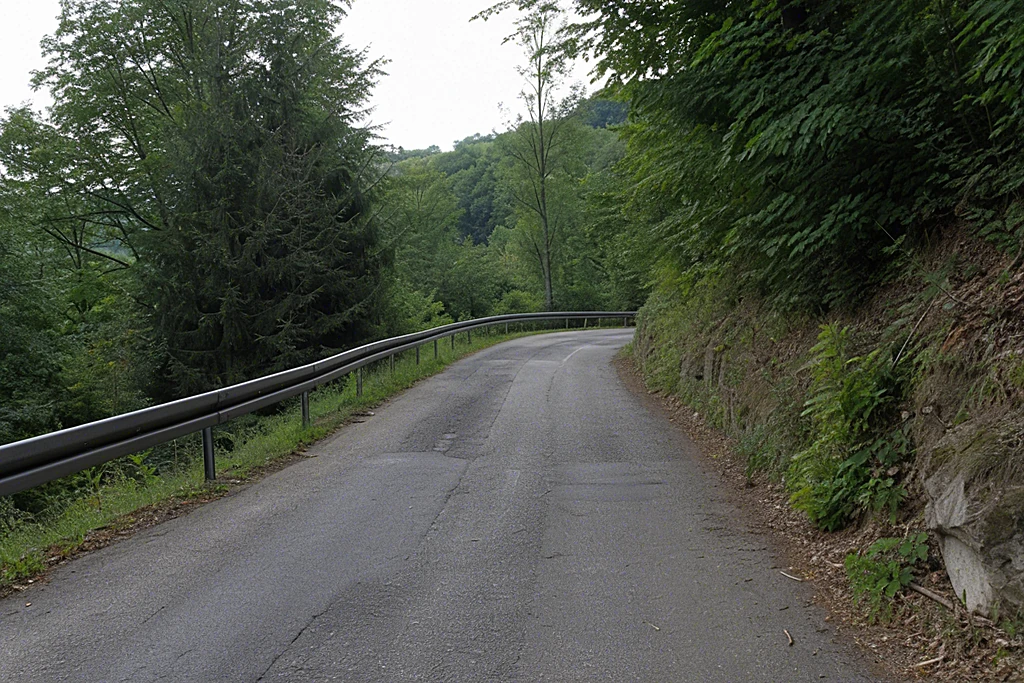 Kurvige bewaldete Landstraße der ehemaligen Solitude-Rennstrecke bei Leonberg westlich von Stuttgart